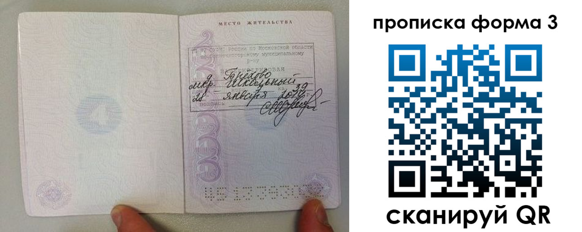 прописка гарантия в Корсакове